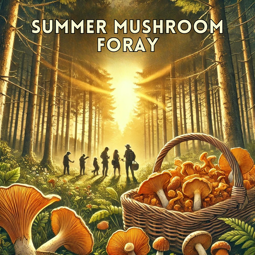 Summer Mushroom Foray & Lunch – Mid Season