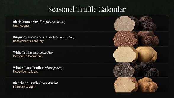 sassone-tartufi-seasonal-truffle-calendar.jpg