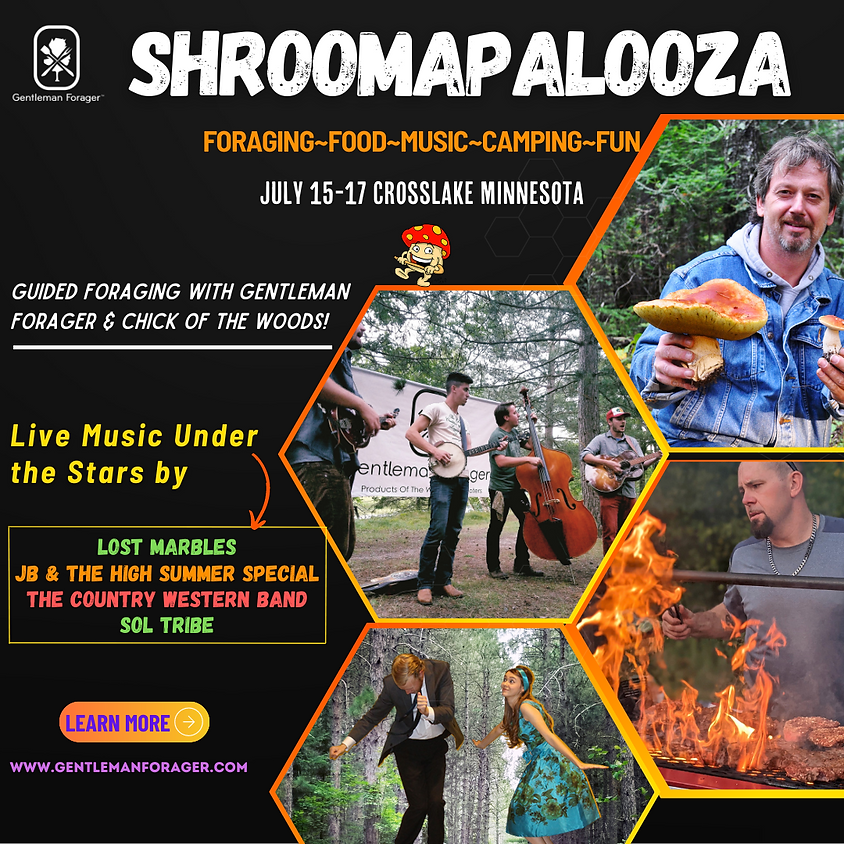 Shroomapalooza