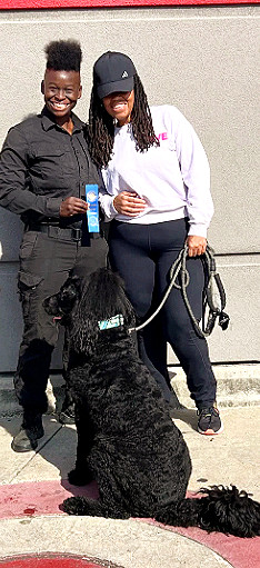 Black Golden Doodle earning her CGC title outside of Target