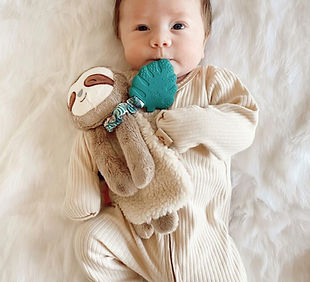 LOV8317 Itzy Lovey Sloth_edited.jpg