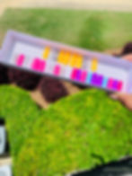 Thumbnail: (CUSTOM) Press'd Treasure