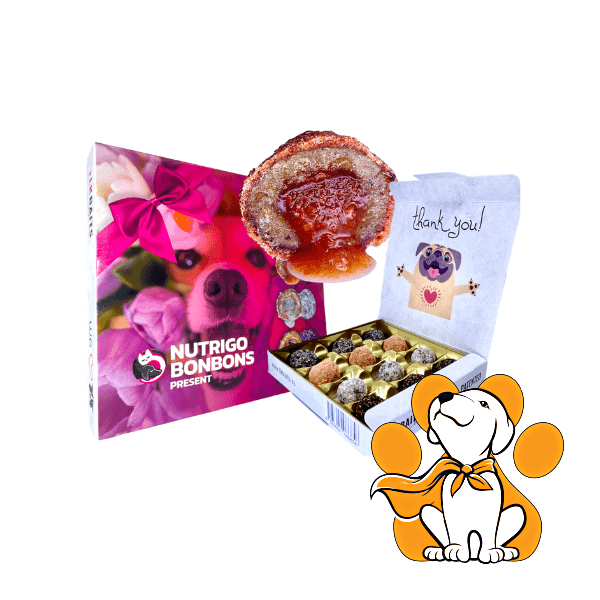 LK Baits Nutrigo BonBons Present Large Dogs, Zdrave i Ukusne Bombone Za Pse