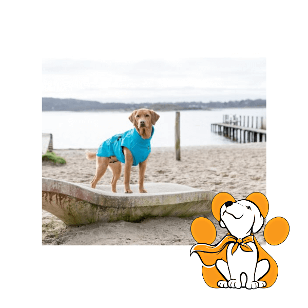 Thumbnail: Trixie Vimy Raincoat Turquoise, Mantil Za Kišu i Šetnju Pasa