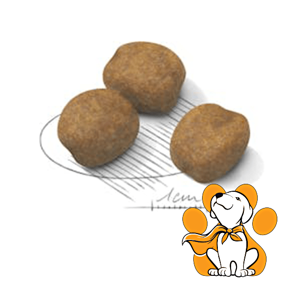 Thumbnail: Royal Canin SHN Giant Puppy, 15kg, Veličina Granule