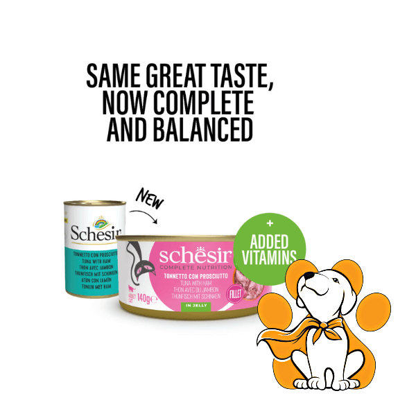 Thumbnail: Schesir Cat Tuna & Ham in Jelly 140g, Vlažna Hrana Na Bazi Tune i Šunke