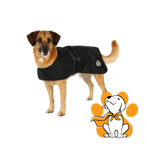 Thumbnail: Trixie Orléans Dog Coat, Vodootporni Mantil Za Pse