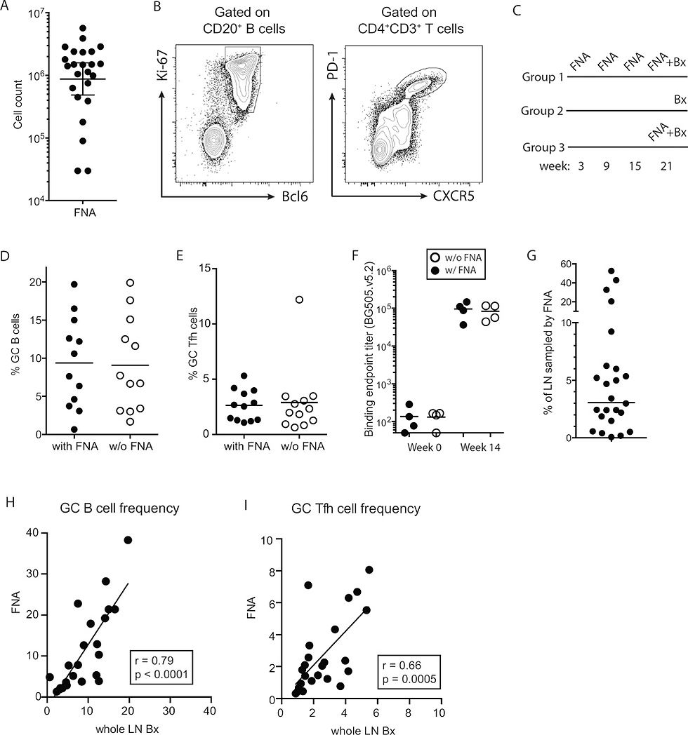 Fig.2