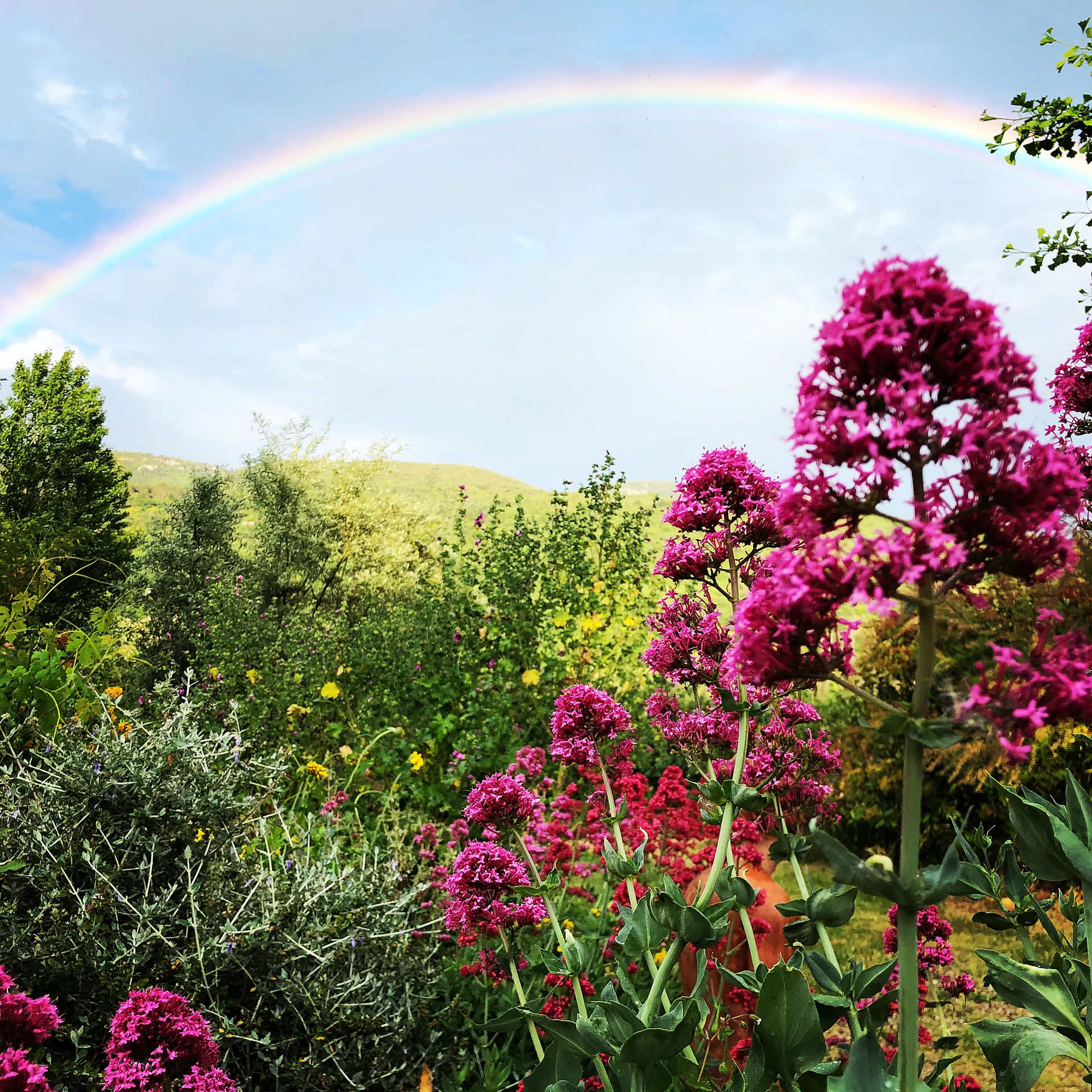 Arc en ciel