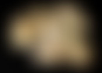 Huile Essentielle de Galbanum