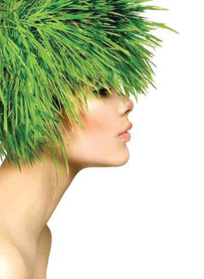 Soin des cheveux avec les Huiles Essentielles