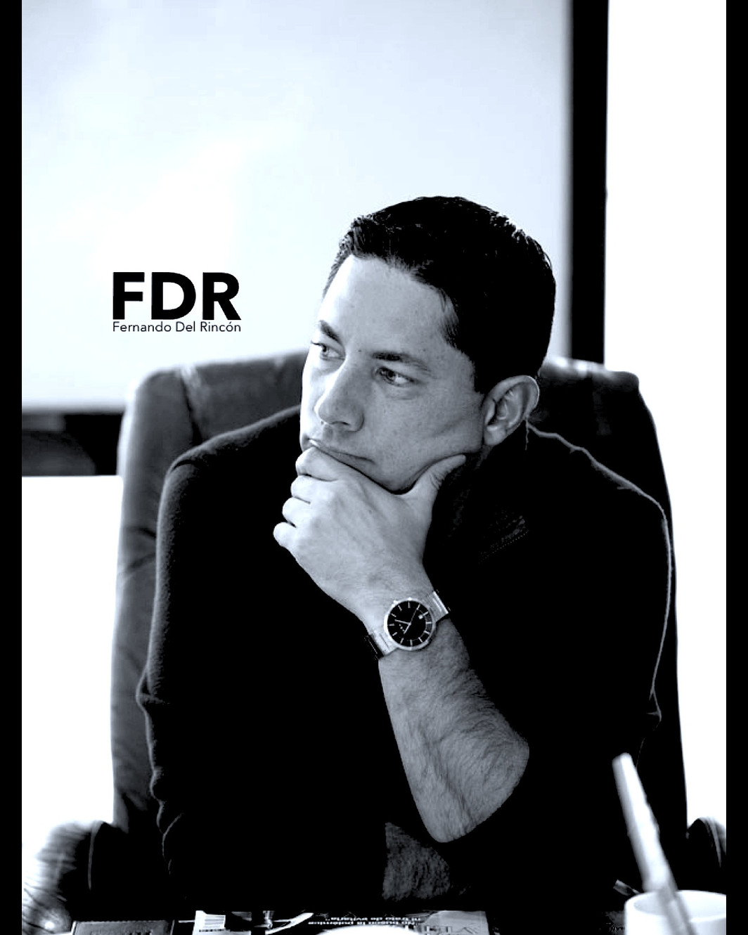 Fernando Del Rincón| Página oficial| Official site