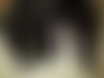 2019 Summer Litters Planned