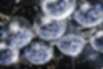 best-disco-ball-scaled.jpeg