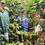 Thumbnail: Honduras medium roast