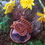 Thumbnail: Agate Pendant