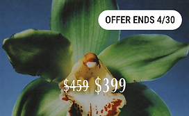 sophiahanover._httpss.mj.runjp4gNjH63bk_httpss.mj.runiGJFfrZe_7d10bceb-036c-4170-8fff-f78f