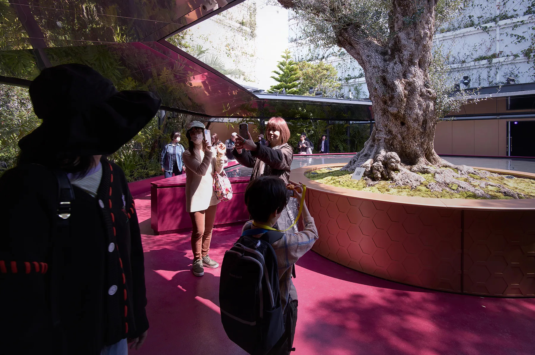 Image courtesy of: Julien Lanoo