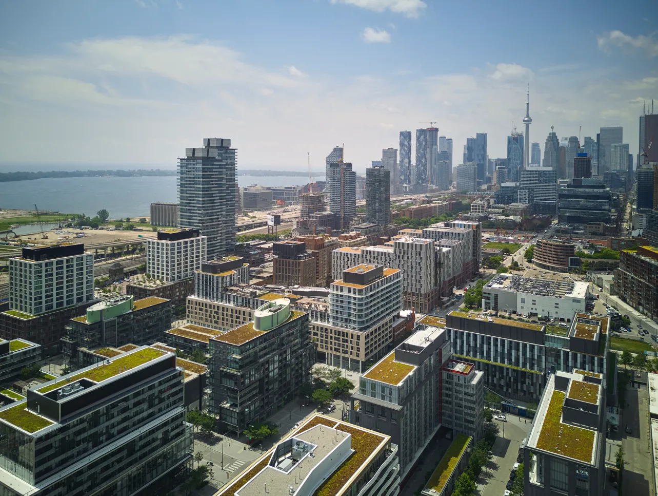 Image courtesy of: Riley Snelling