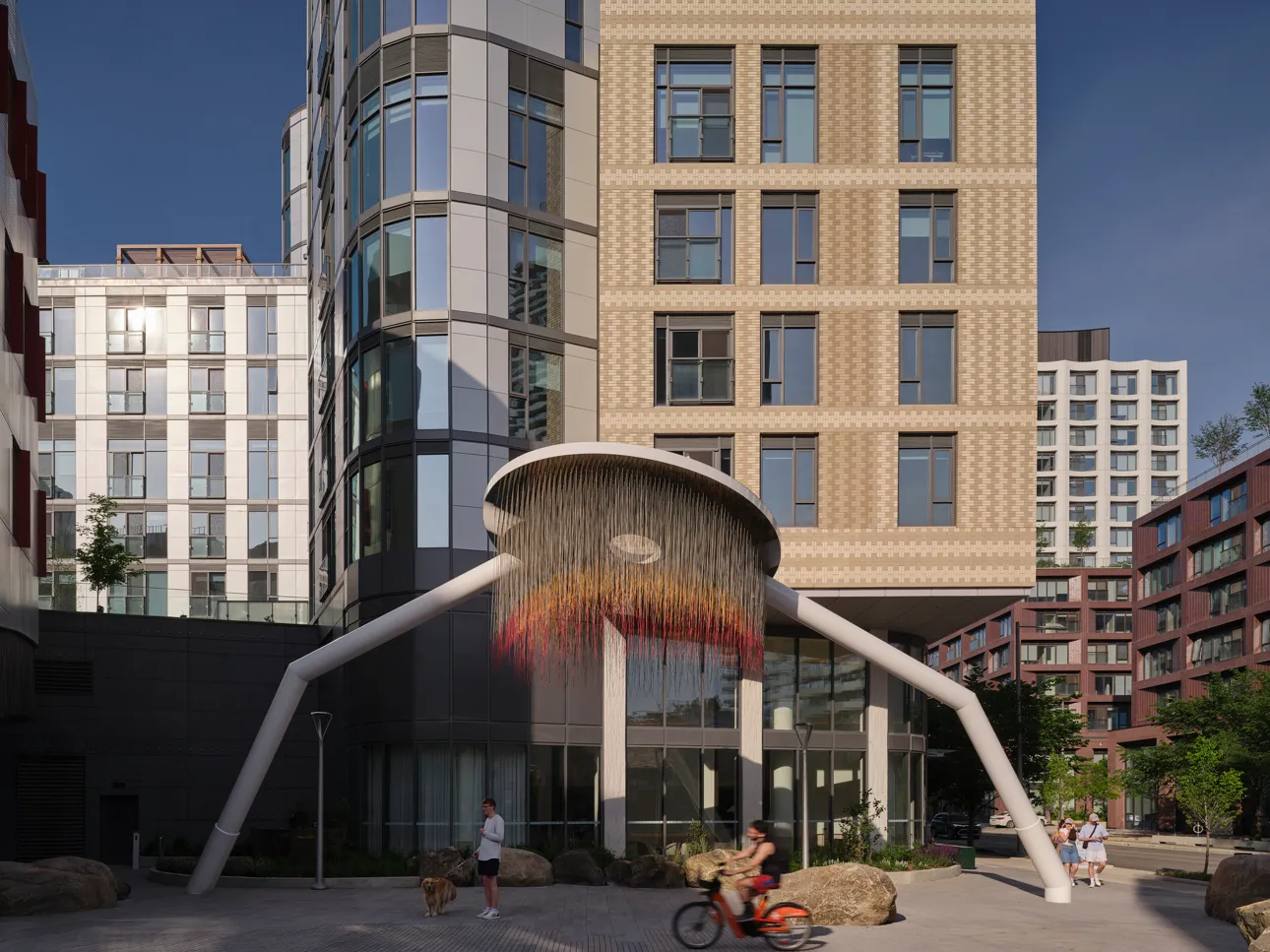 Image courtesy of: Riley Snelling