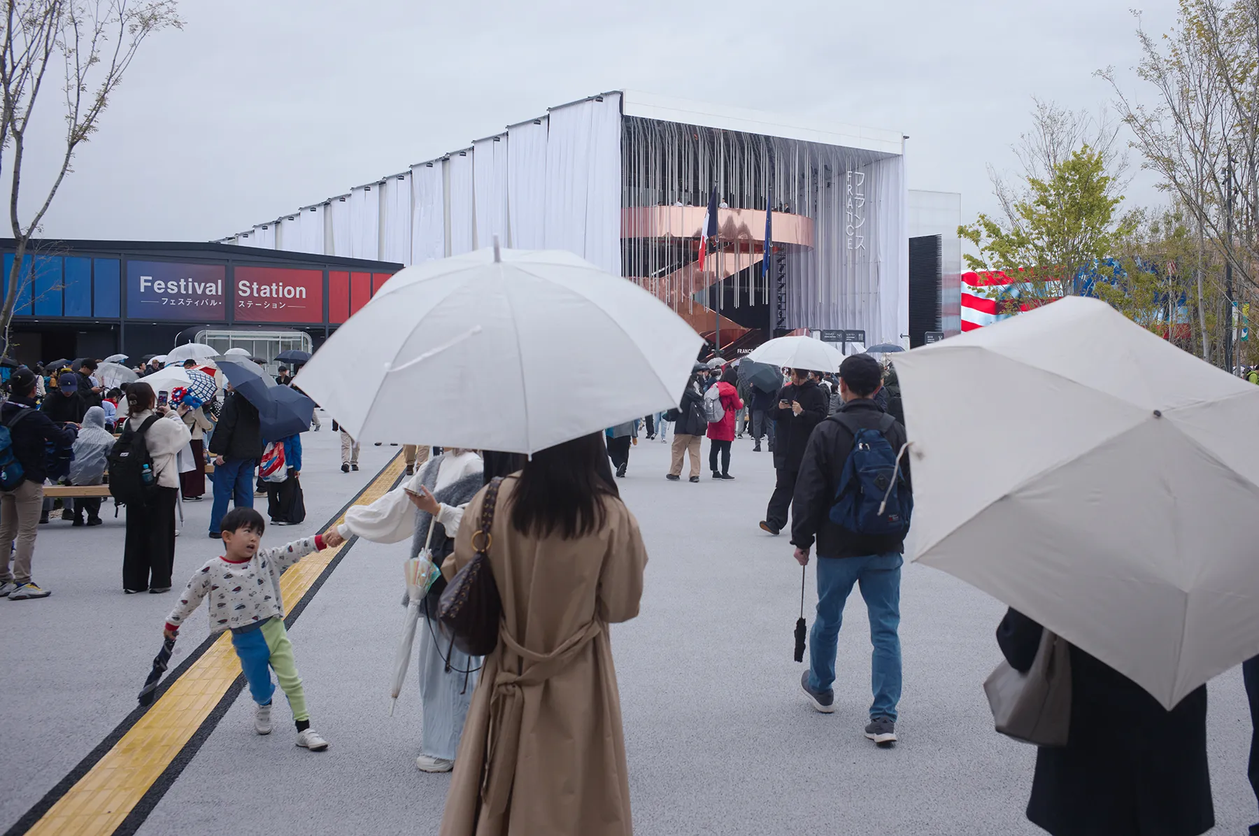 Image courtesy of: Julien Lanoo