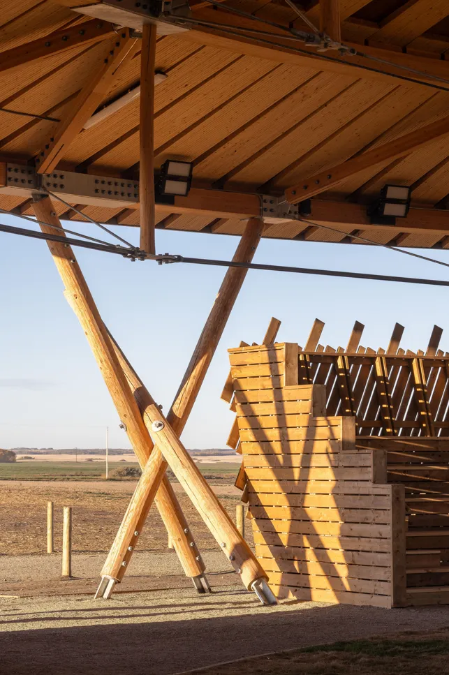 Muscowpetung Powwow Arbour. Photography by Lindsay Reid