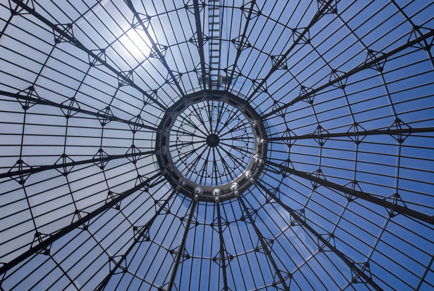 Historic Palm House. Image courtesy of: Adrien Williams