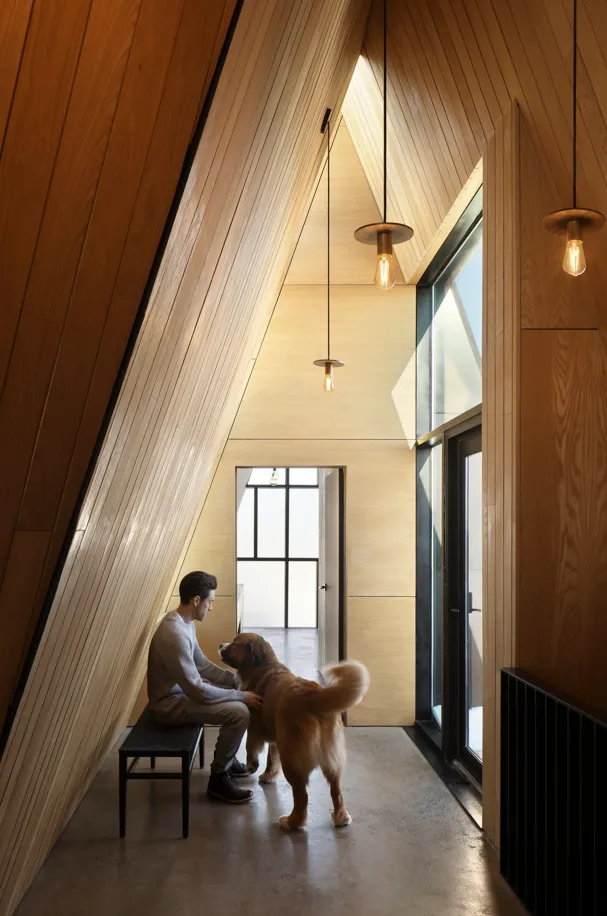 Image courtesy of: Ema Peter, Peter Braithwaite