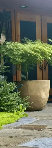 Project AKER ("Guardian of Entrances"). Image courtesy of: TKL Design