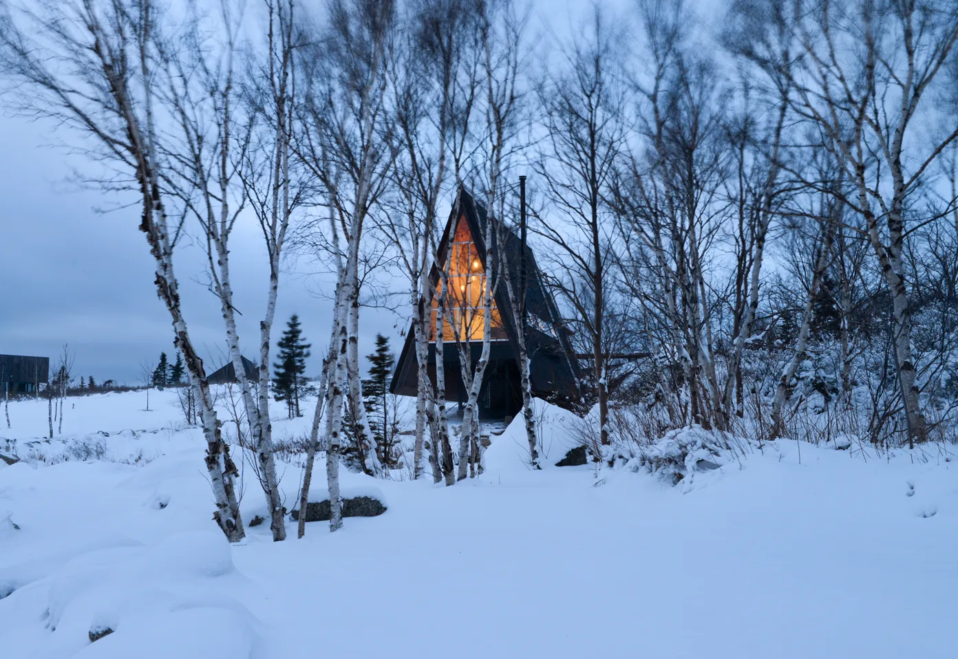 Image courtesy of: Ema Peter, Peter Braithwaite