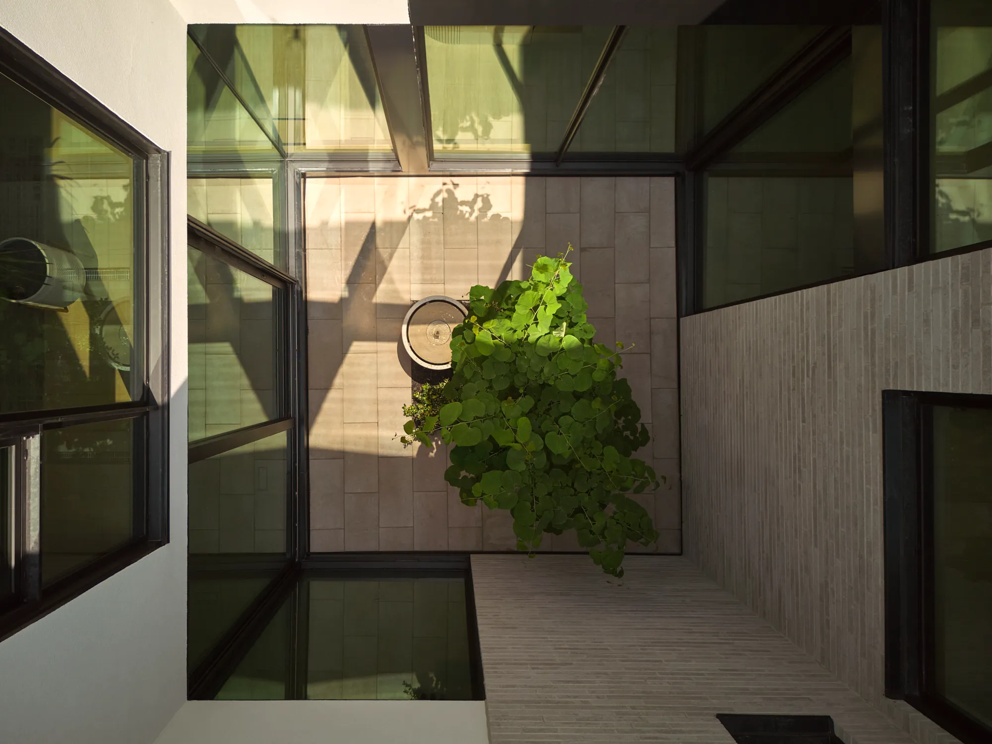 Ravine House: A Modern Sanctuary in Harmony with Nature. Image courtesy of: Riley Snelling
