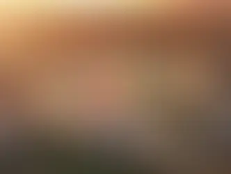 Reflections on Expo 2025: A Look Back at Osaka’s "People’s Living Lab"