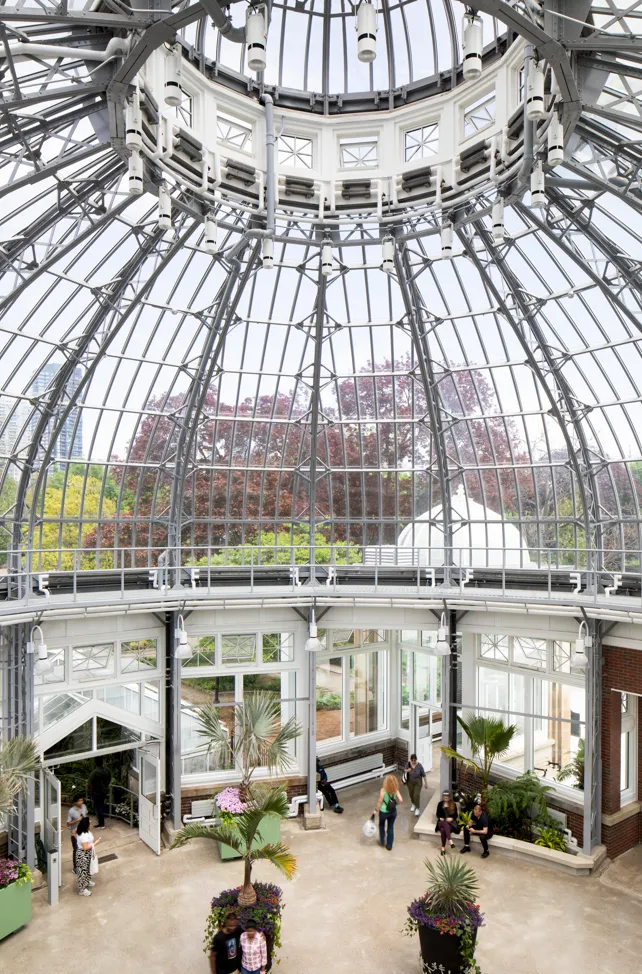Historic Palm House. Image courtesy of: Adrien Williams
