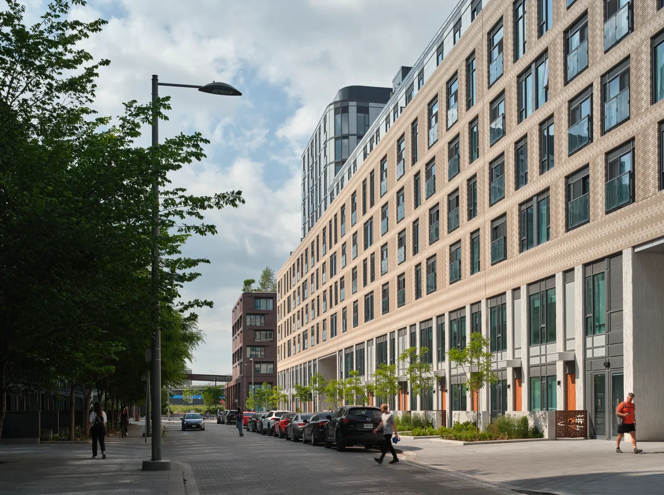 Image courtesy of: Riley Snelling