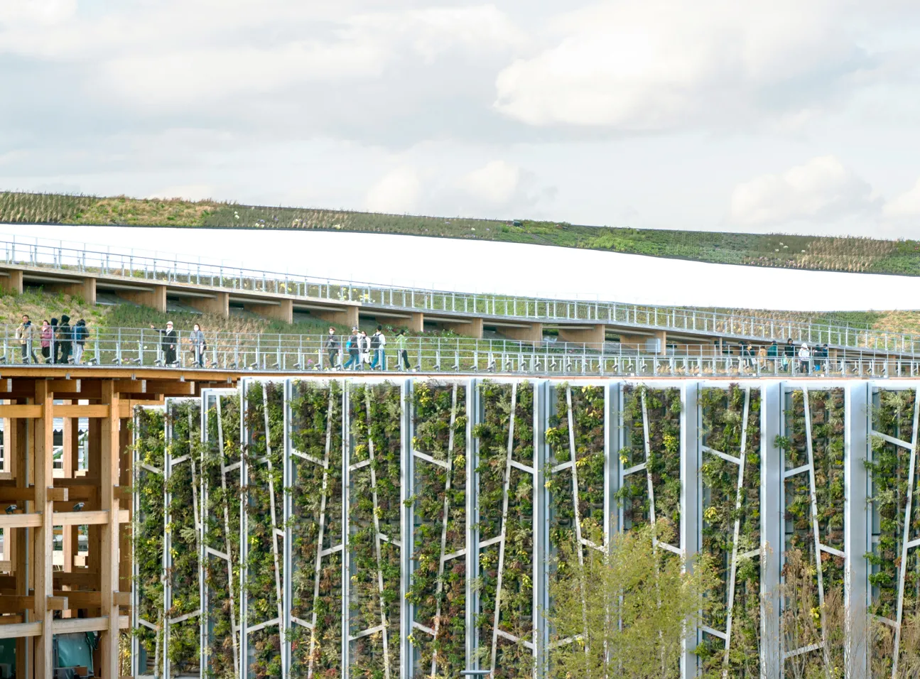 Image courtesy of: William Mulvihill