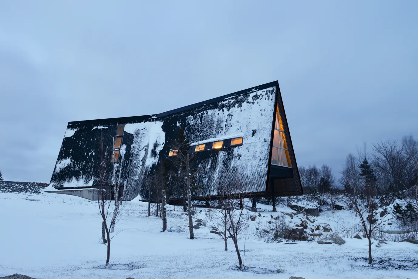 Image courtesy of: Ema Peter, Peter Braithwaite