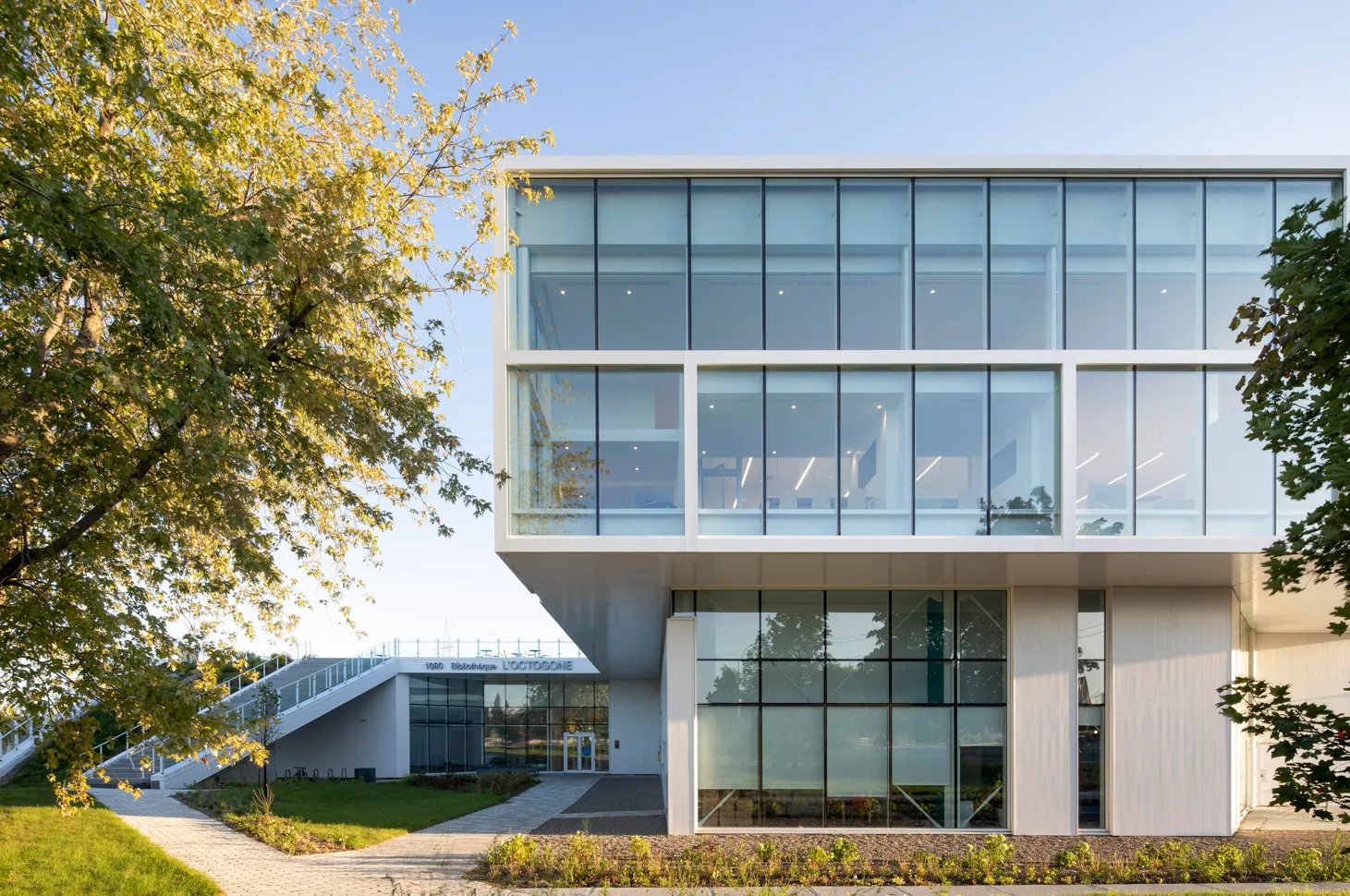 Bibliothèque L'Octogone. Photography by Adrien Williams