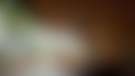 Montreal’s Centre Sanaaq: An Urban Archipelago for a Changing Downtown