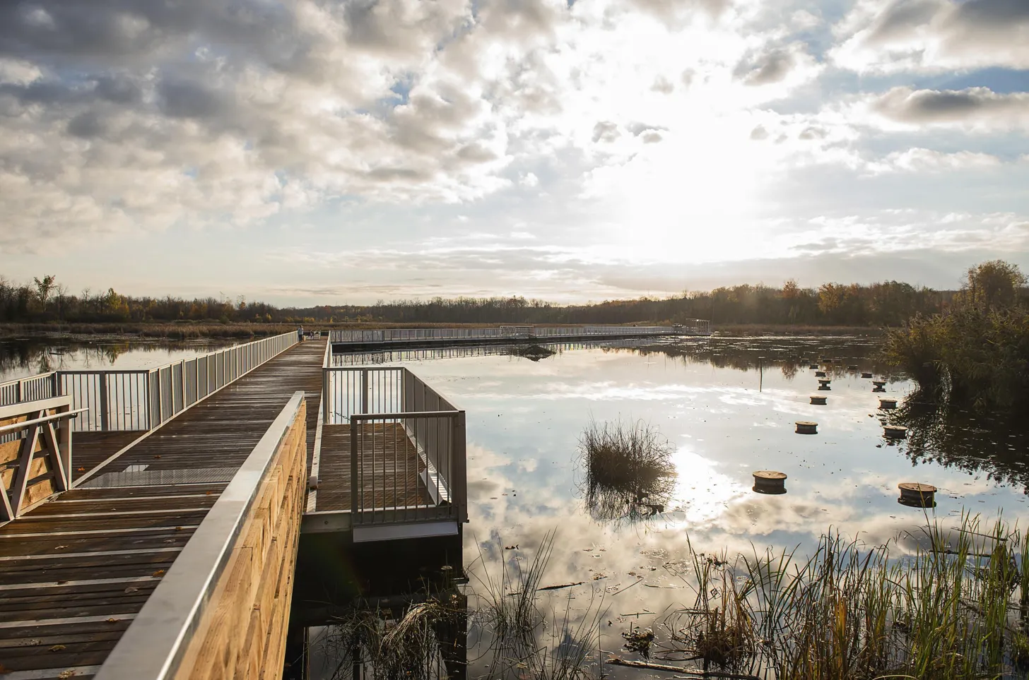 Revitalization of Three Montreal Nature Parks (2019). Image courtesy of City of Montréal