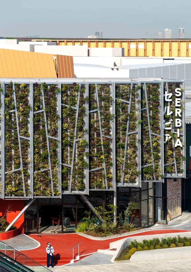 Image courtesy of: William Mulvihill