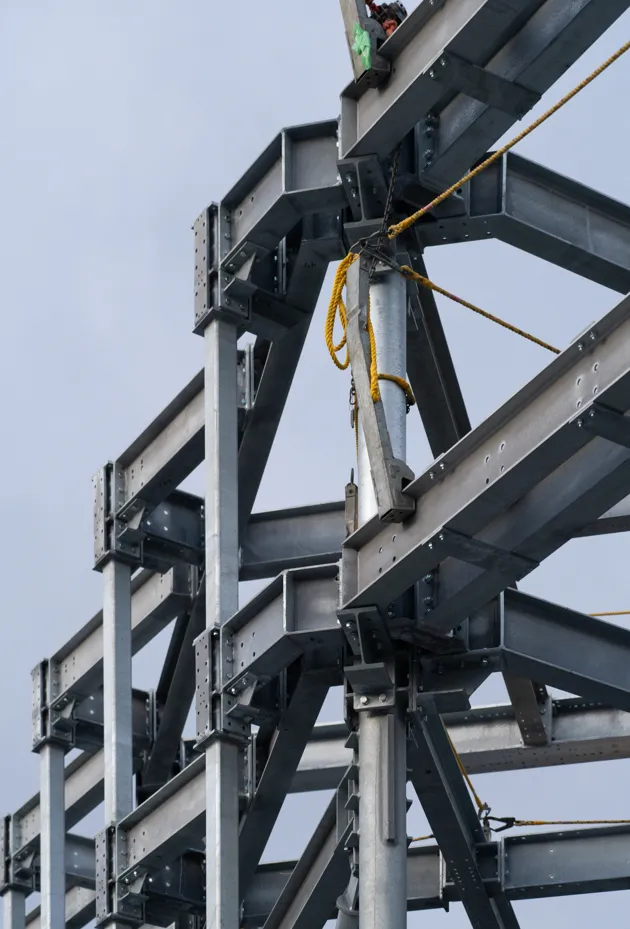 Image courtesy of: William Mulvihill