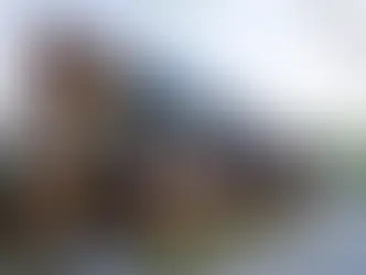 Triple Threat: The Norwood Park Laneway Suites Redefine Collaborative Urban Living