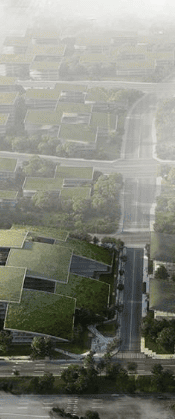 Epic has skyrocketed the software into the professional spotlight. 