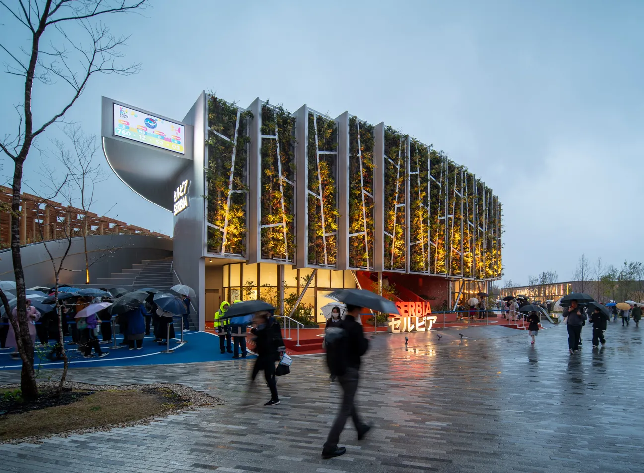 Image courtesy of: William Mulvihill