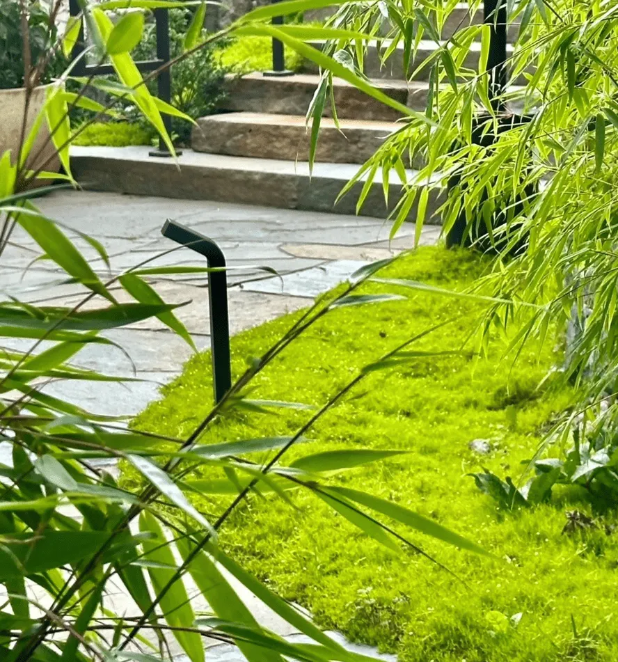 Project AKER ("Guardian of Entrances"). Image courtesy of: TKL Design