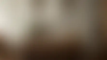 Where Family Gathers: Inside Joan + Company Interiors’ Latest Kingsway Build