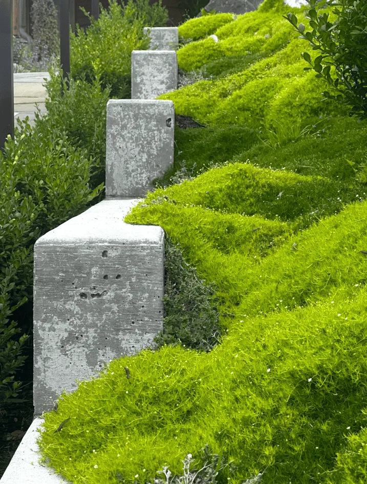 Project AKER ("Guardian of Entrances"). Image courtesy of: TKL Design