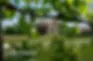 Lison Winery - €9,000 - Registration Deadline 26 June 2026
