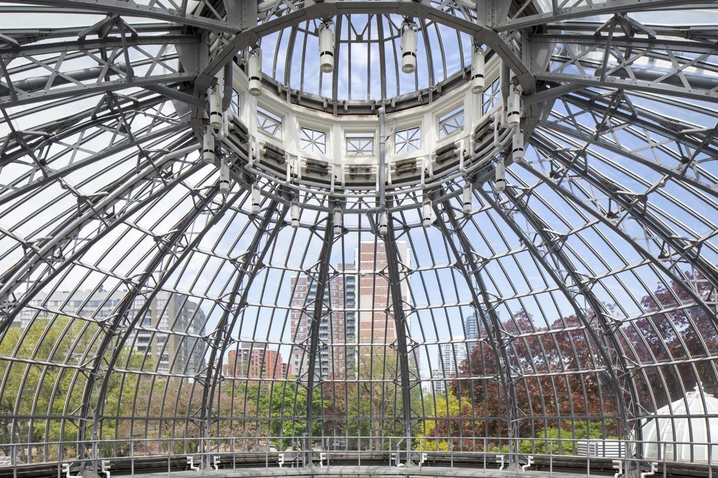 Historic Palm House. Image courtesy of: Adrien Williams