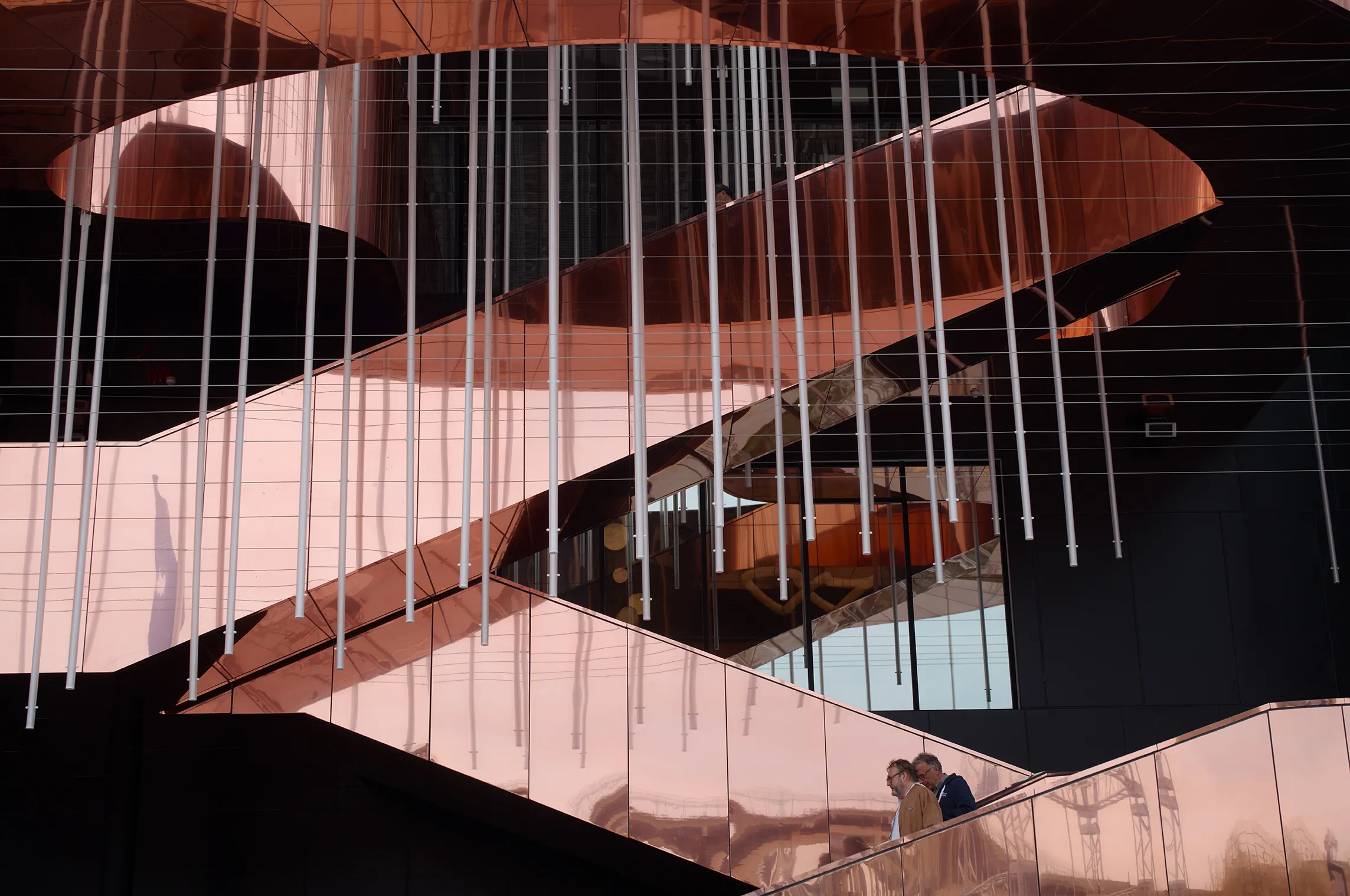 Image courtesy of: Julien Lanoo